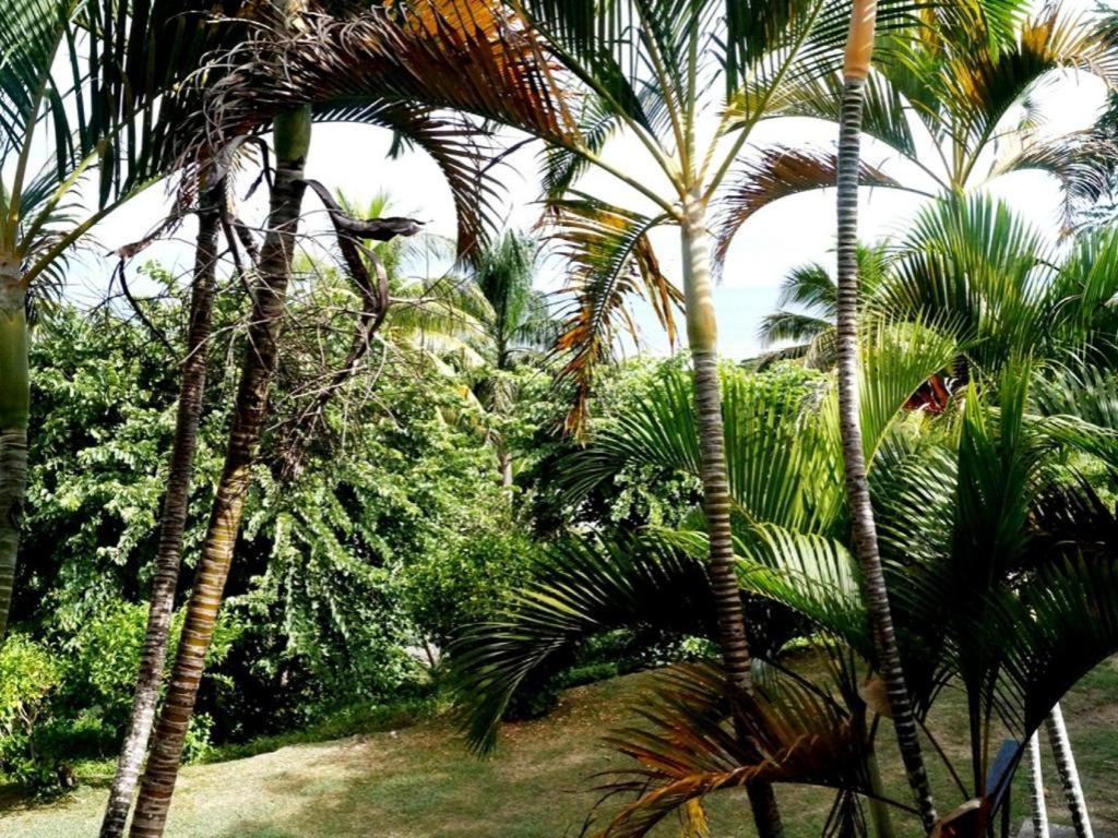 Anchorage Beach Resort Viseisei Dış mekan fotoğraf